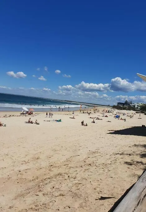Apartment Pet Friendly & Spacious Two Bedroom Guest Unit Caloundra