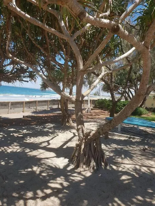 Apartment Pet Friendly & Spacious Two Bedroom Guest Unit Caloundra Australia